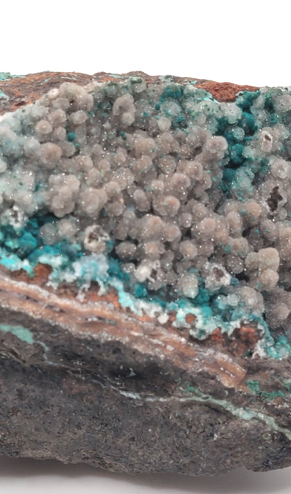 Druzy Botryoidal Chrysocolla, Ojuela Mine, Mapimi, Durango, Mexico