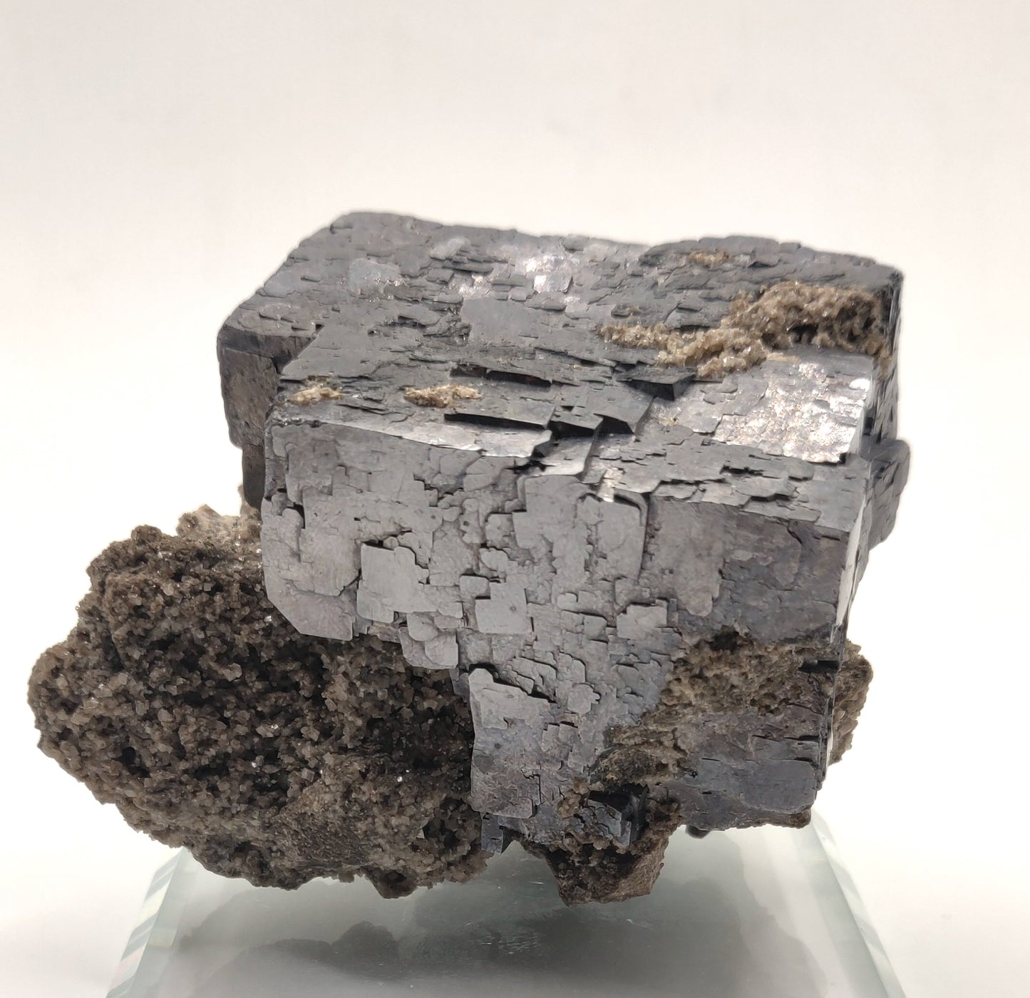 Galena on Dolemite/Pyrite - Sweetwater Mine, Missouri