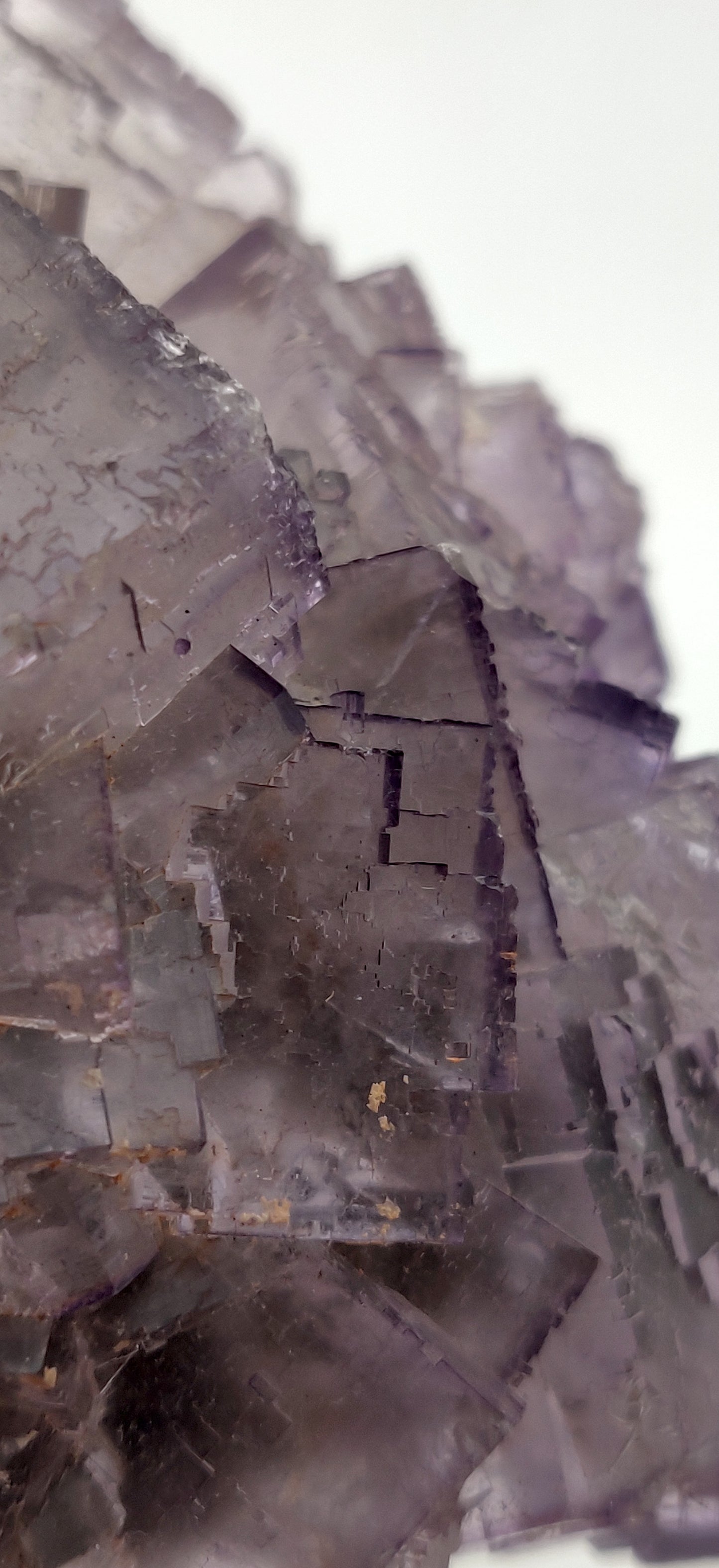 Purple Fluorite, Mexico, Ex. Wolfgang Vogt collection