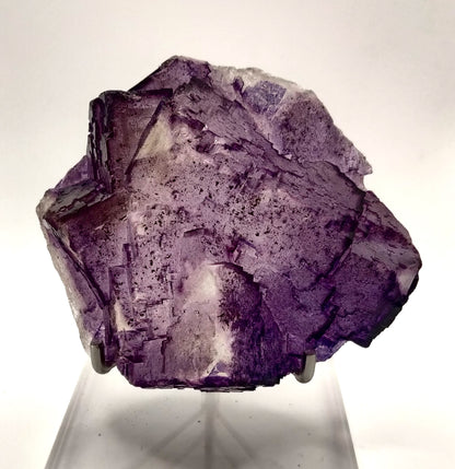 Elmwood Fluorite, Tennessee