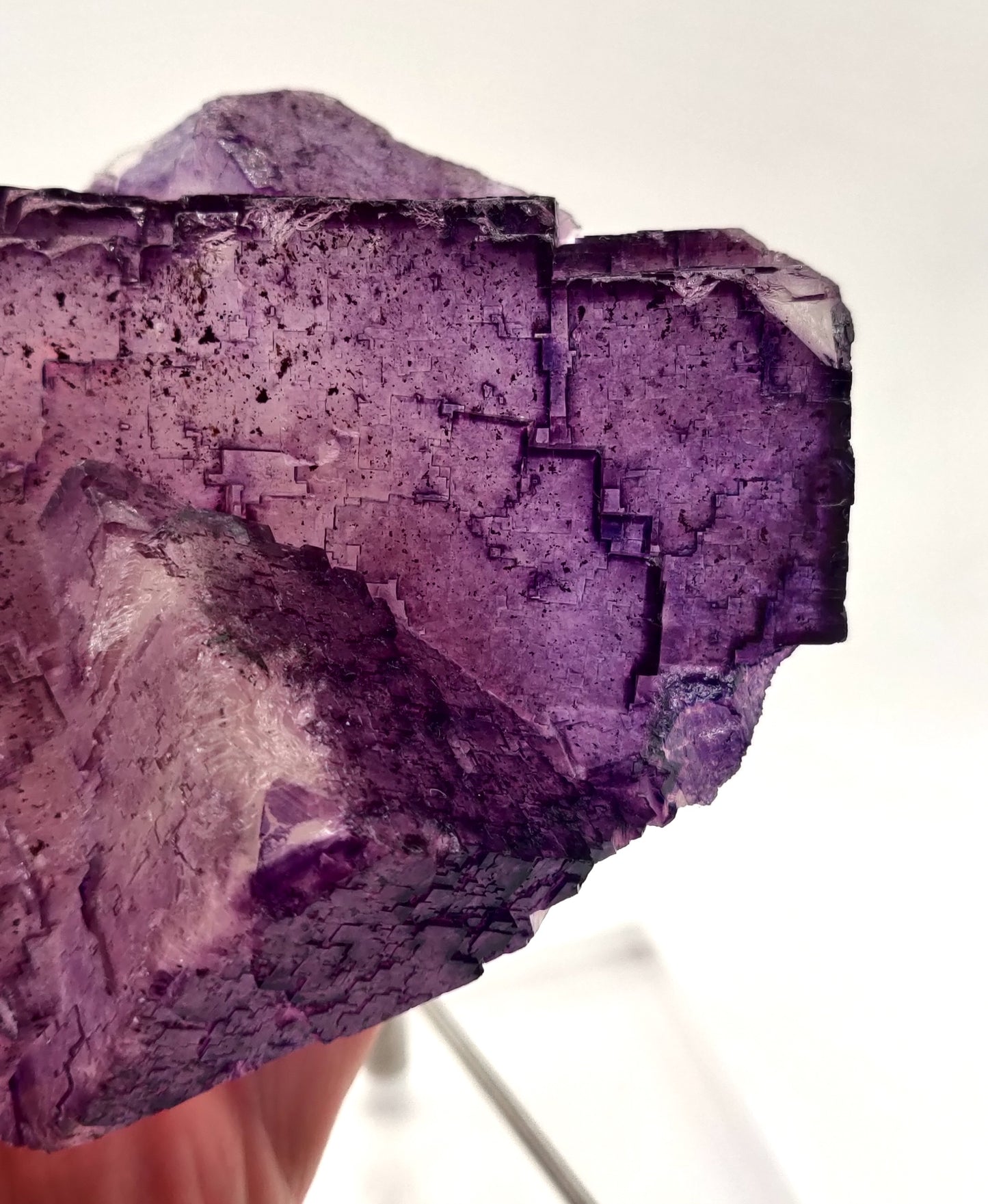 Elmwood Fluorite, Tennessee