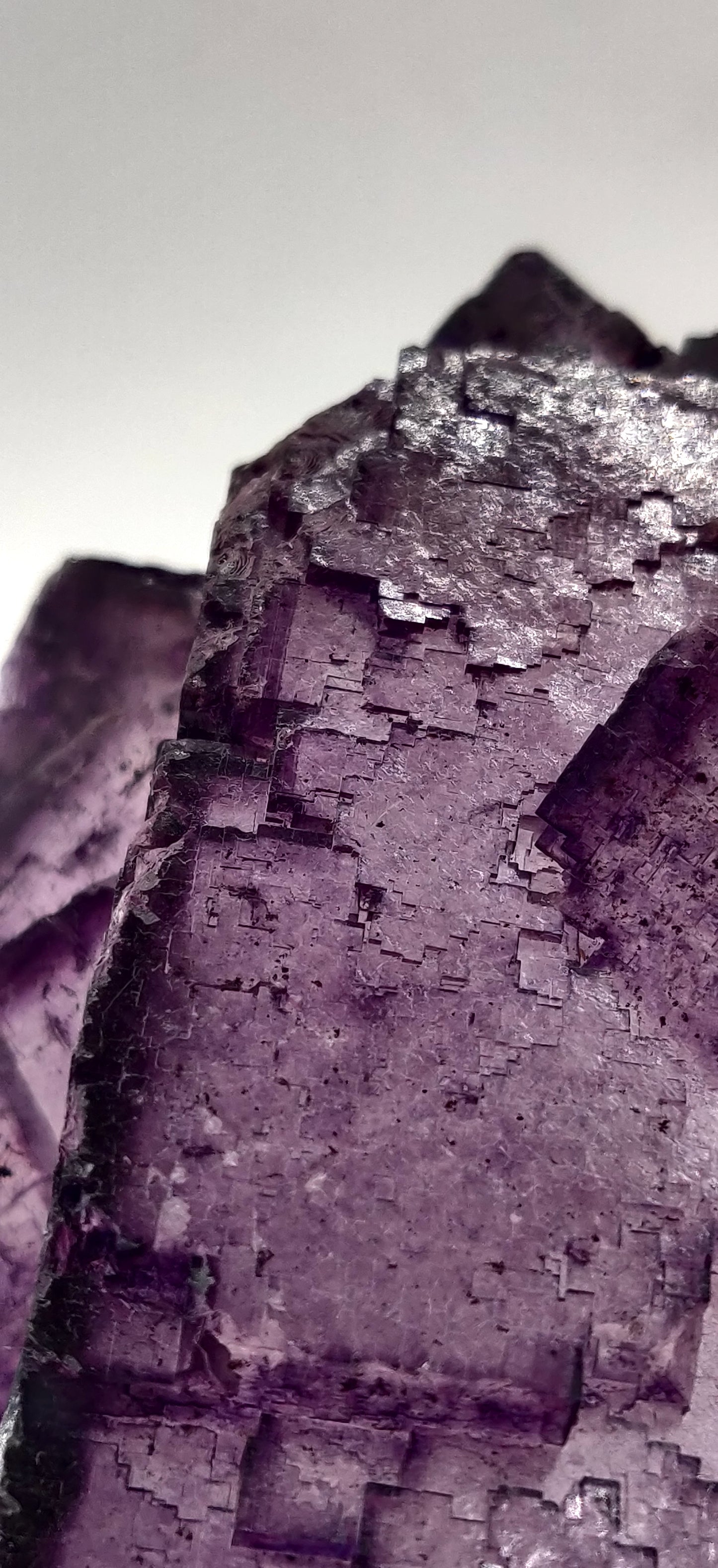 Elmwood Fluorite, Tennessee