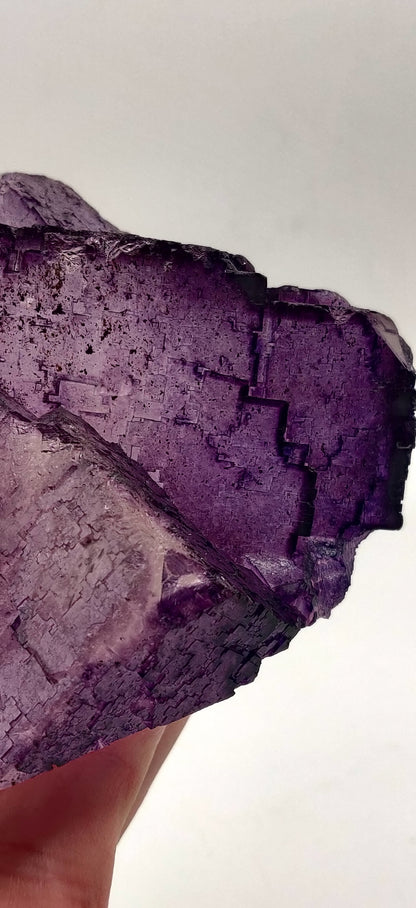 Elmwood Fluorite, Tennessee