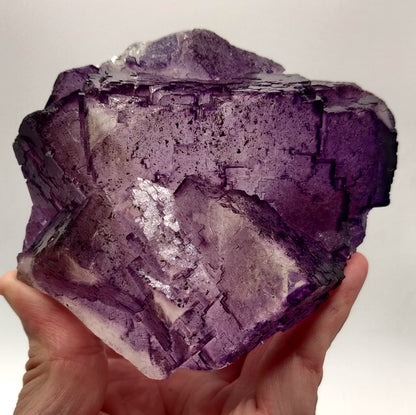 Elmwood Fluorite, Tennessee