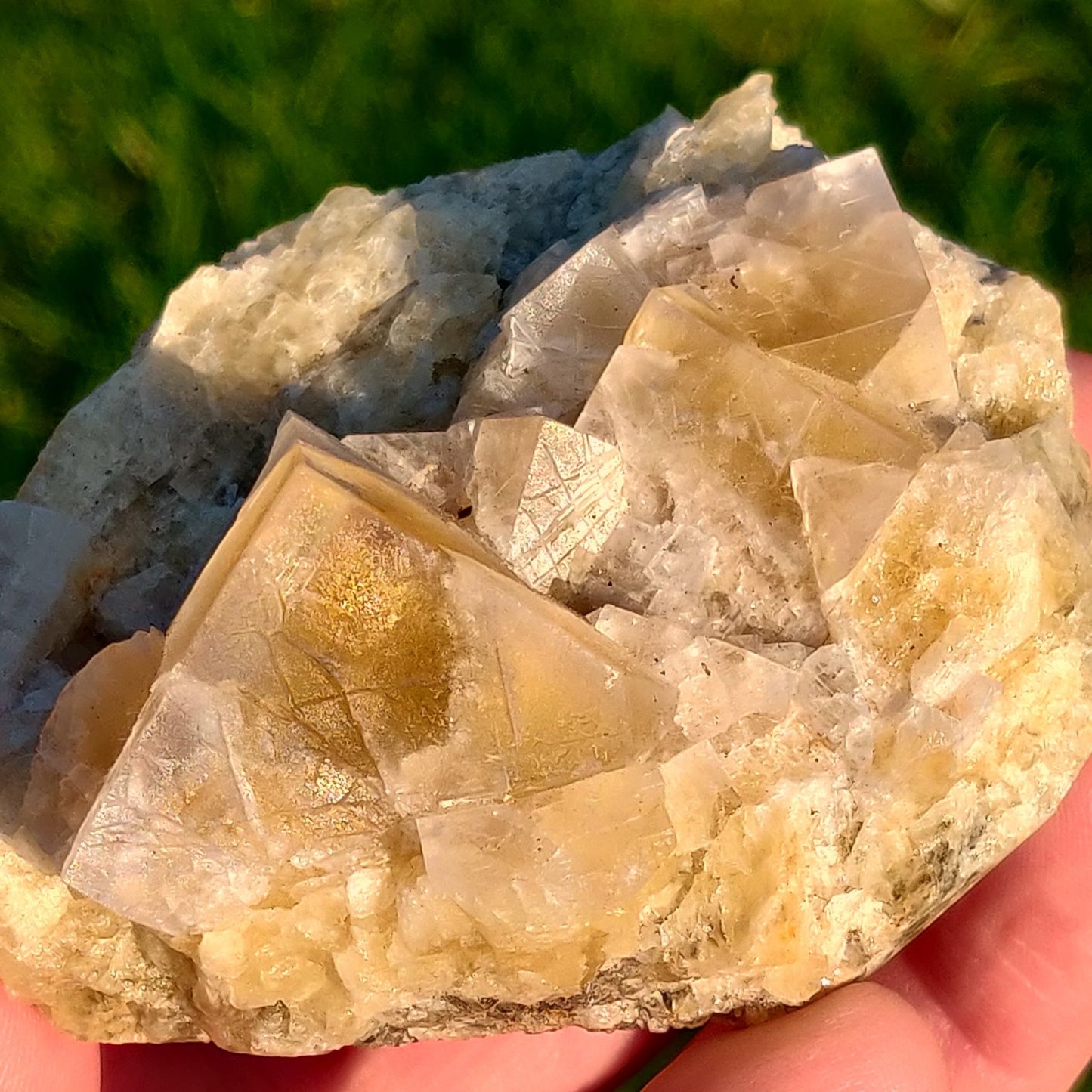 Yellow Fluorite w/ Blue Phantom Zoning, Diana Maria Mine