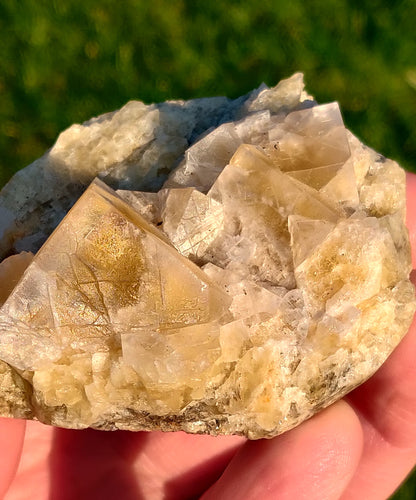 Yellow Fluorite w/ Blue Phantom Zoning, Diana Maria Mine