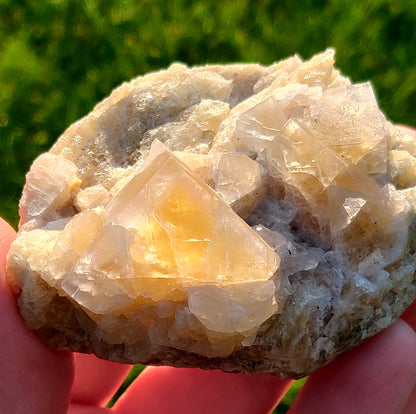 Yellow Fluorite w/ Blue Phantom Zoning, Diana Maria Mine