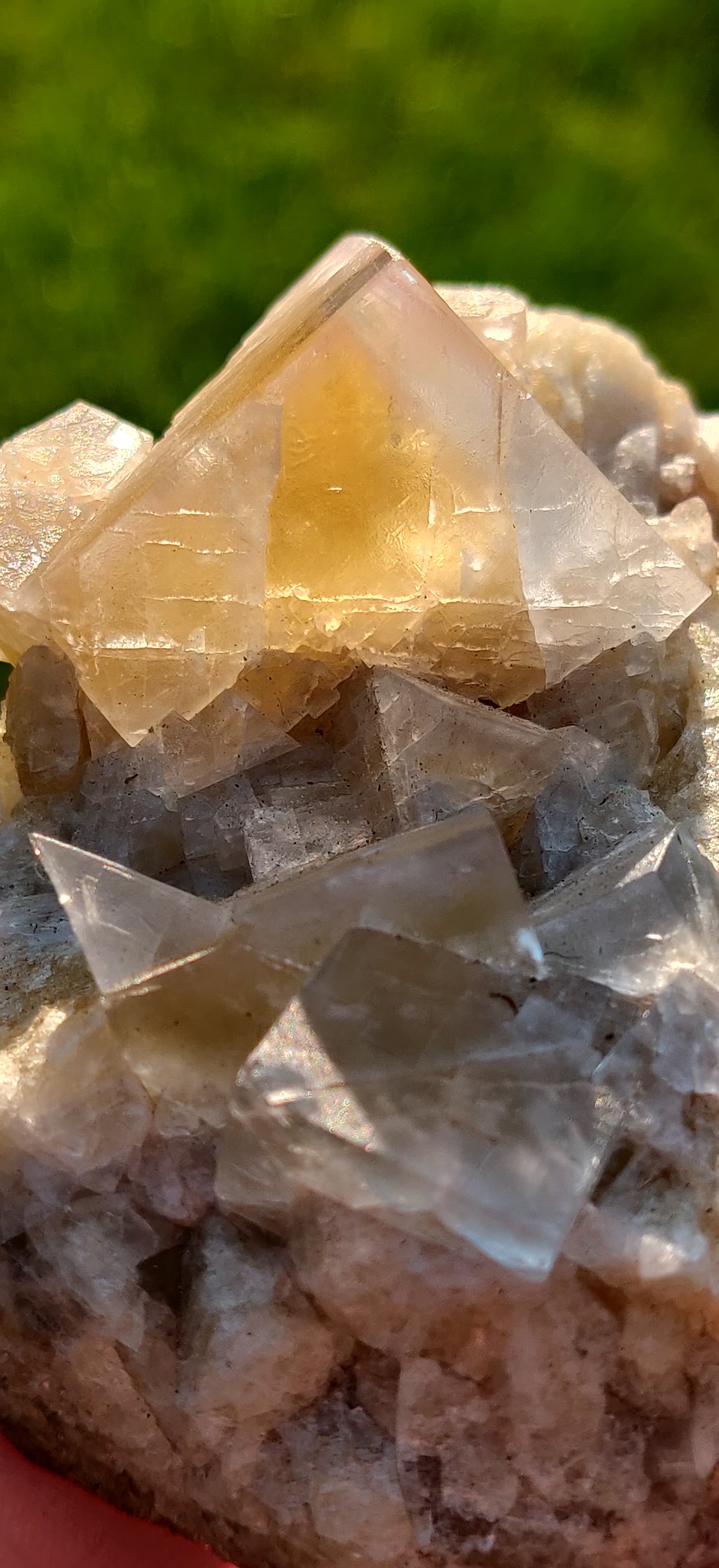 Yellow Fluorite w/ Blue Phantom Zoning, Diana Maria Mine