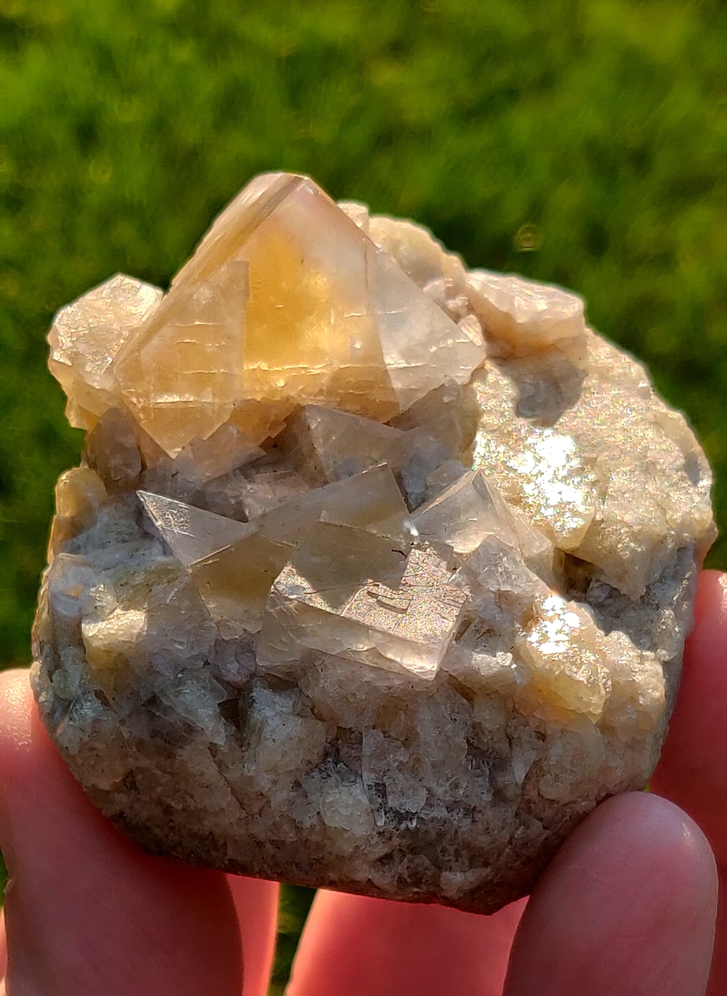 Yellow Fluorite w/ Blue Phantom Zoning, Diana Maria Mine