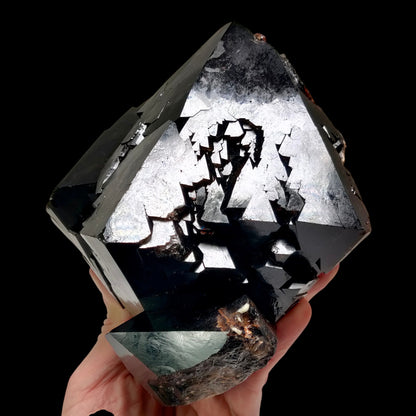 Quartz Var. Smoky (Morion) w/ Trigonic Record Keeper – Bahia, Brazil – 2.57KG (5.7lbs)