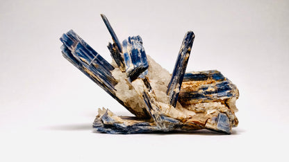 Kyanite w/Quartz, Minas Gerais Brazil