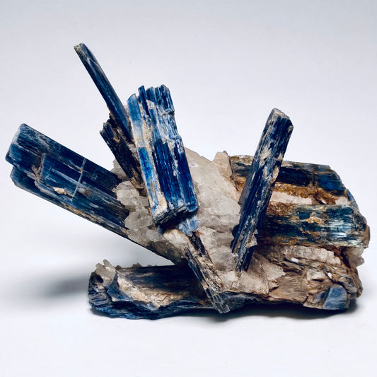 Kyanite w/Quartz, Minas Gerais Brazil