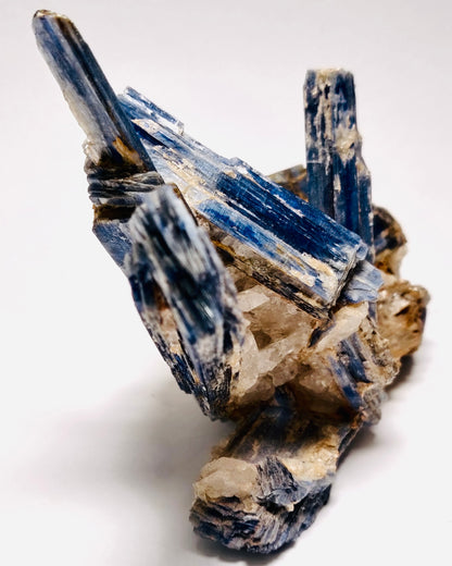 Kyanite w/Quartz, Minas Gerais Brazil