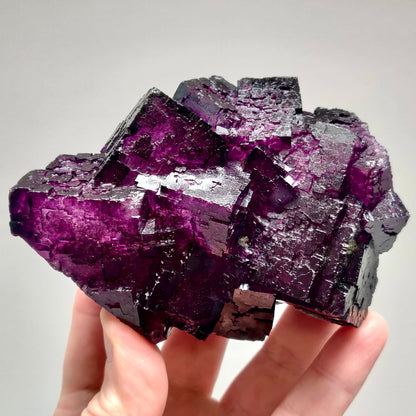 Elmwood Mine Purple Fluorite, 741g (1.6lbs)