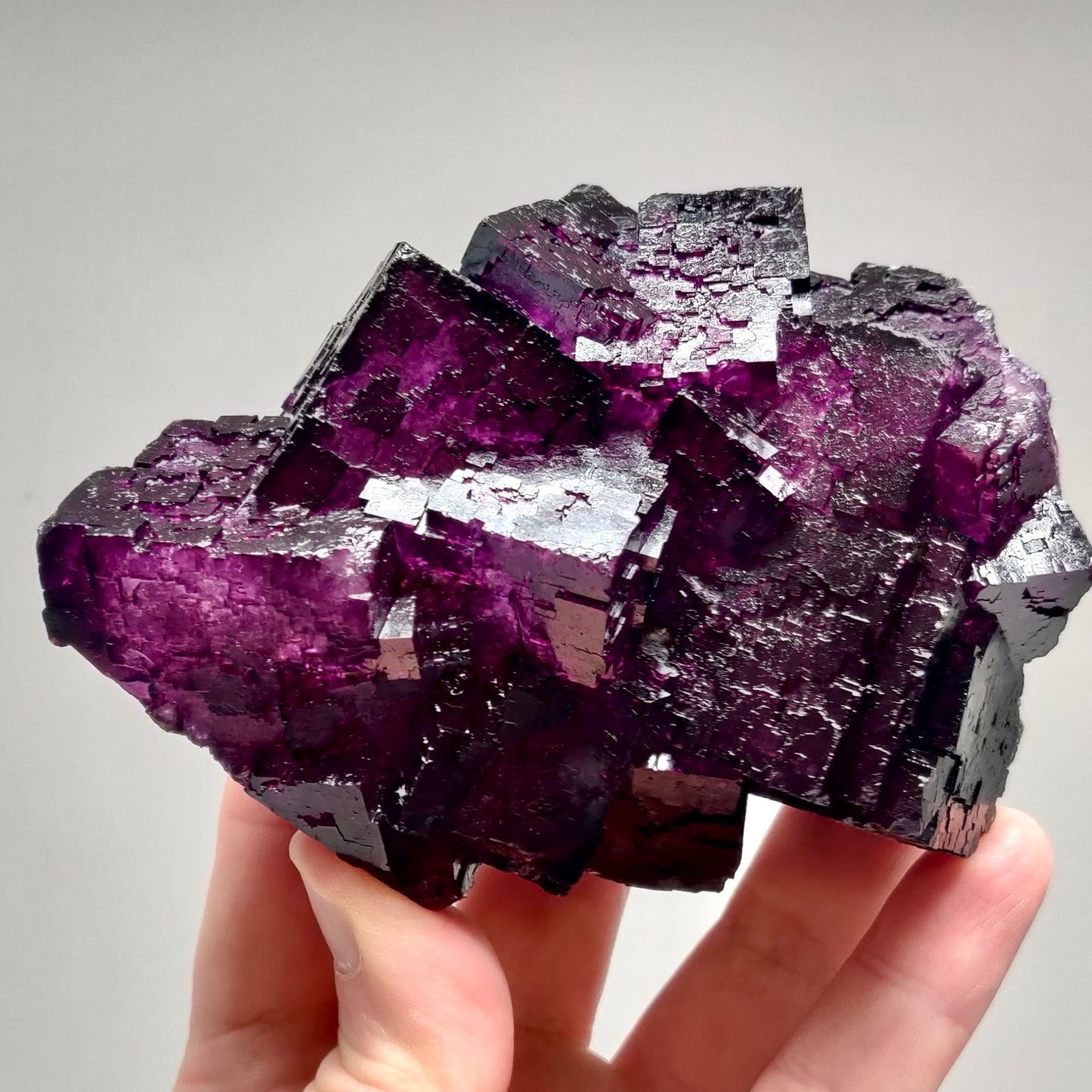 Elmwood Mine Purple Fluorite, 741g (1.6lbs)