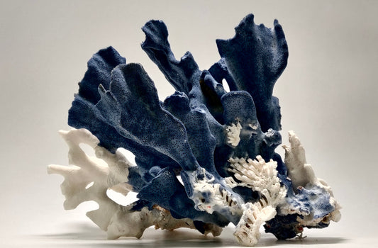 Large Vintage Blue Ridge Coral (Heliopora Coerulea) - 10.5 x 8 x 8 Inches