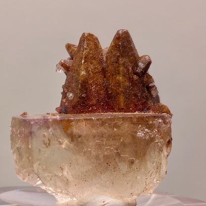 Stunning Dogtooth Calcite & Clear Fluorite - Potosi Mine, Chihuahua, Mexico (TN Size)