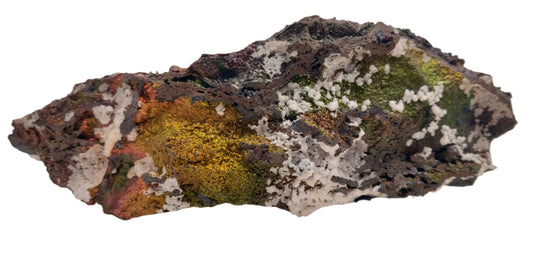 Rock with lichen on a white background