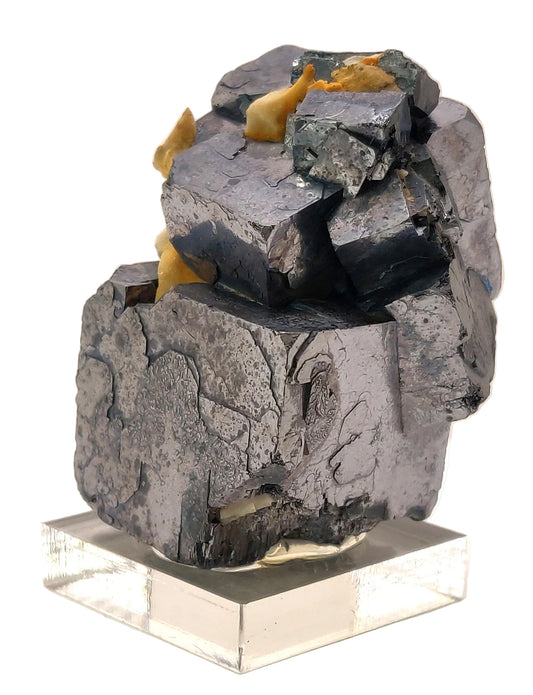 Geological sample with embedded fossils on a white background