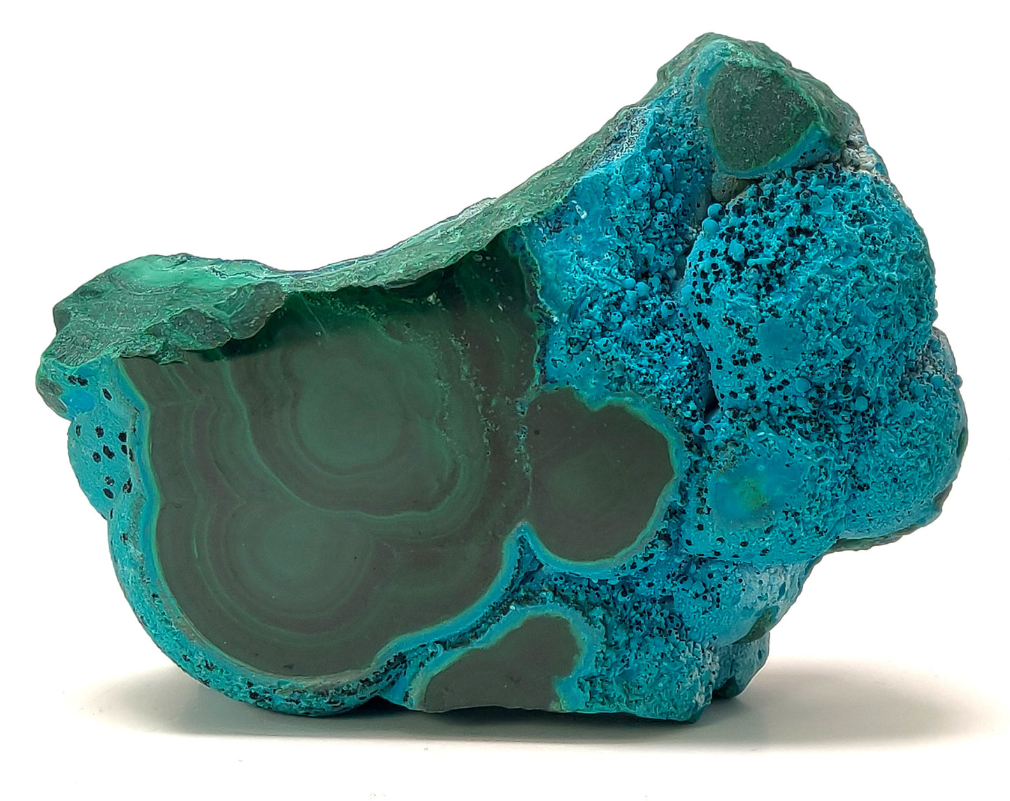 Botryoidal Chrysocolla with Malachite and Tenorite, DR Congo