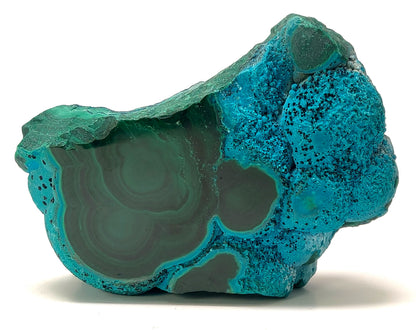 Botryoidal Chrysocolla with Malachite and Tenorite, DR Congo