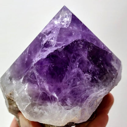 Amethyst crystal held by a hand against a white background