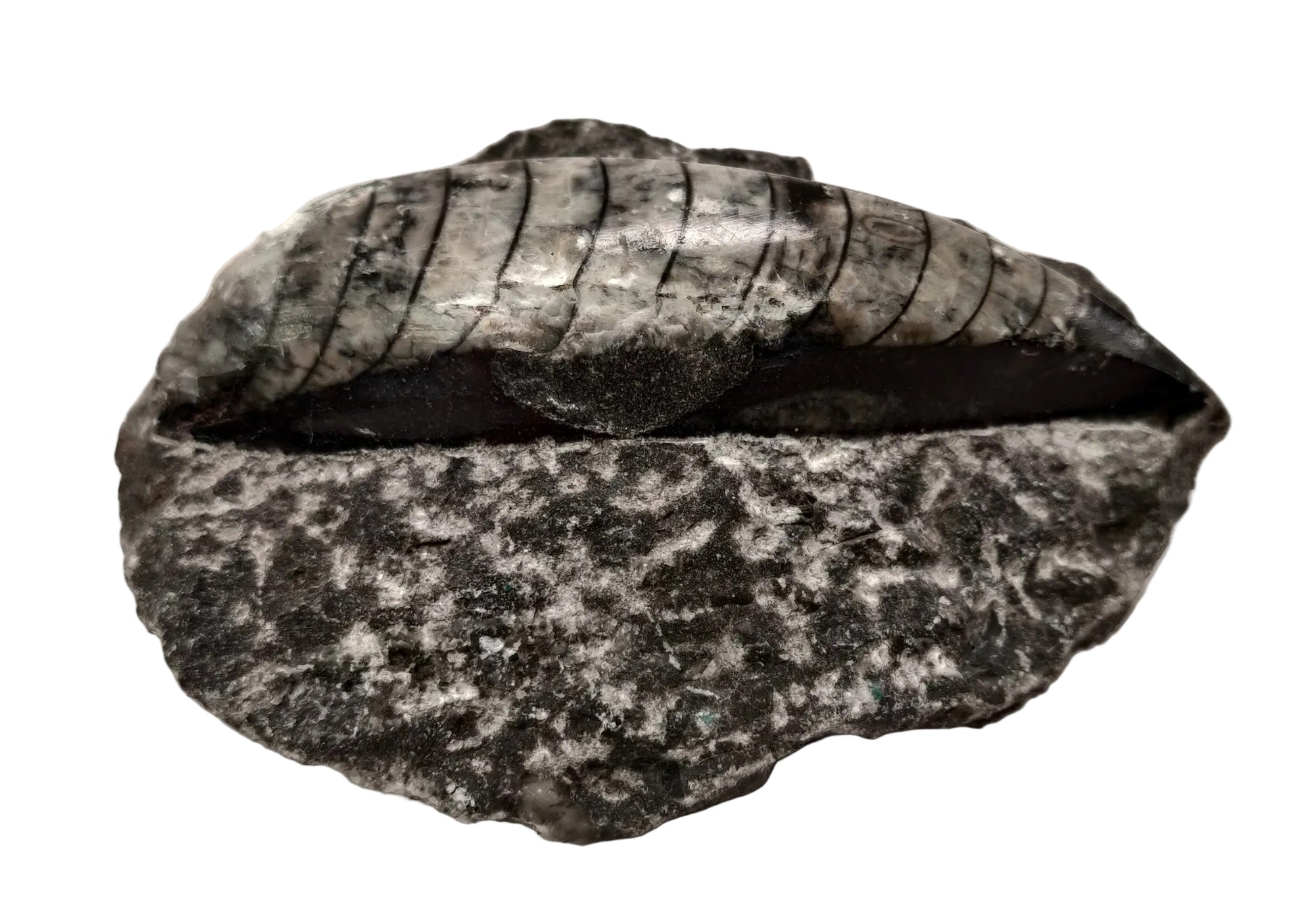 Granite rock on a white background