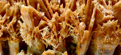 Close-up of brown mineral crystals
