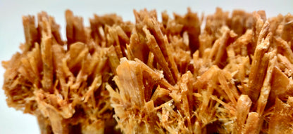 Close-up of a brown, craggy mineral formation on a white background