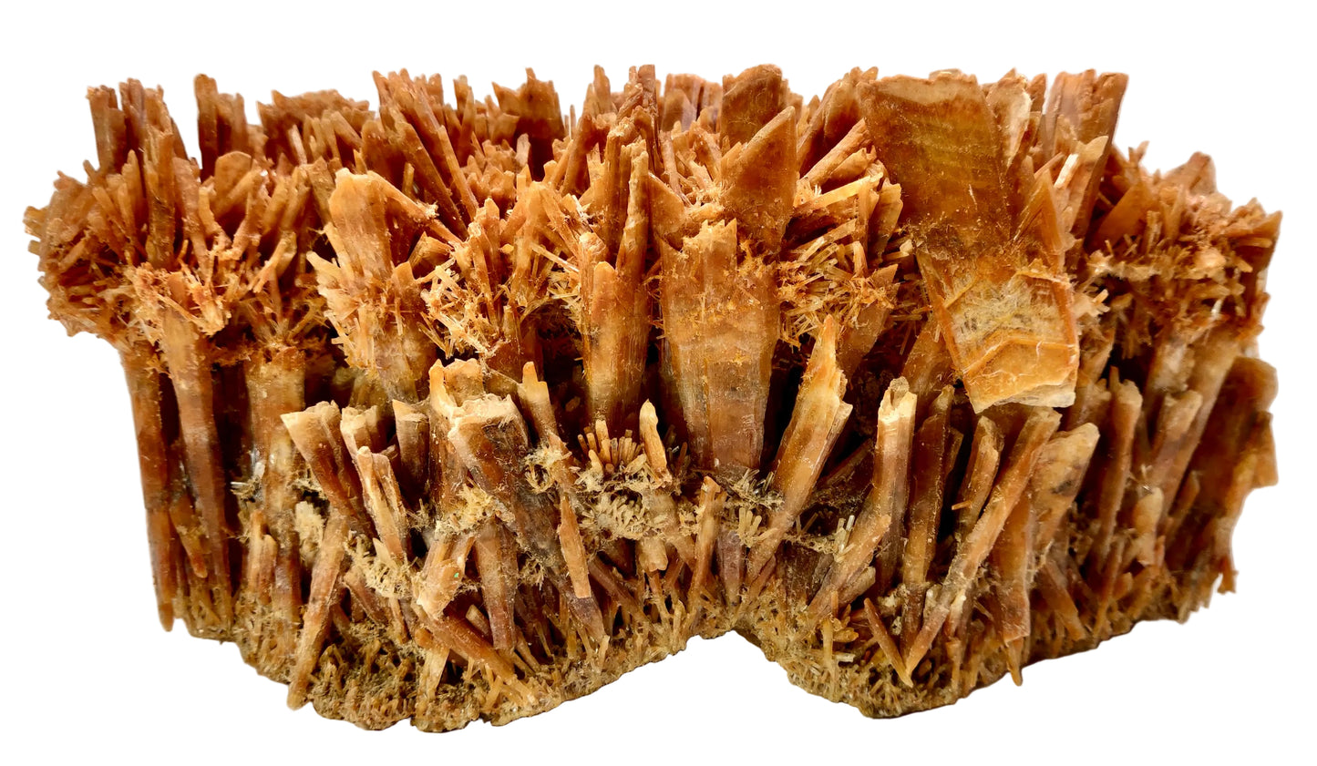 Close-up of a brown, textured mineral specimen on a light background