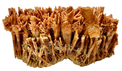 Close-up of a brown, textured mineral specimen on a light background