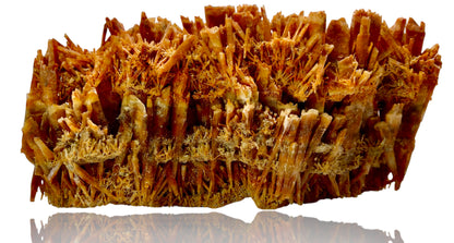 Close-up of a brown, branching mineral structure on a white background