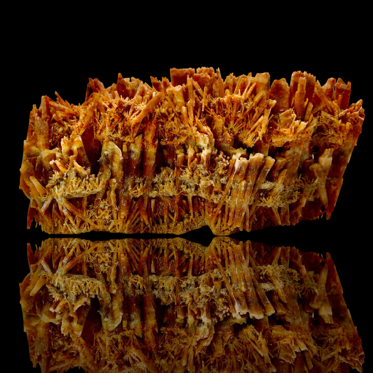 Gypsum var. Selenite: Swan Hill, Victoria, Australia - 12-inch Specimen