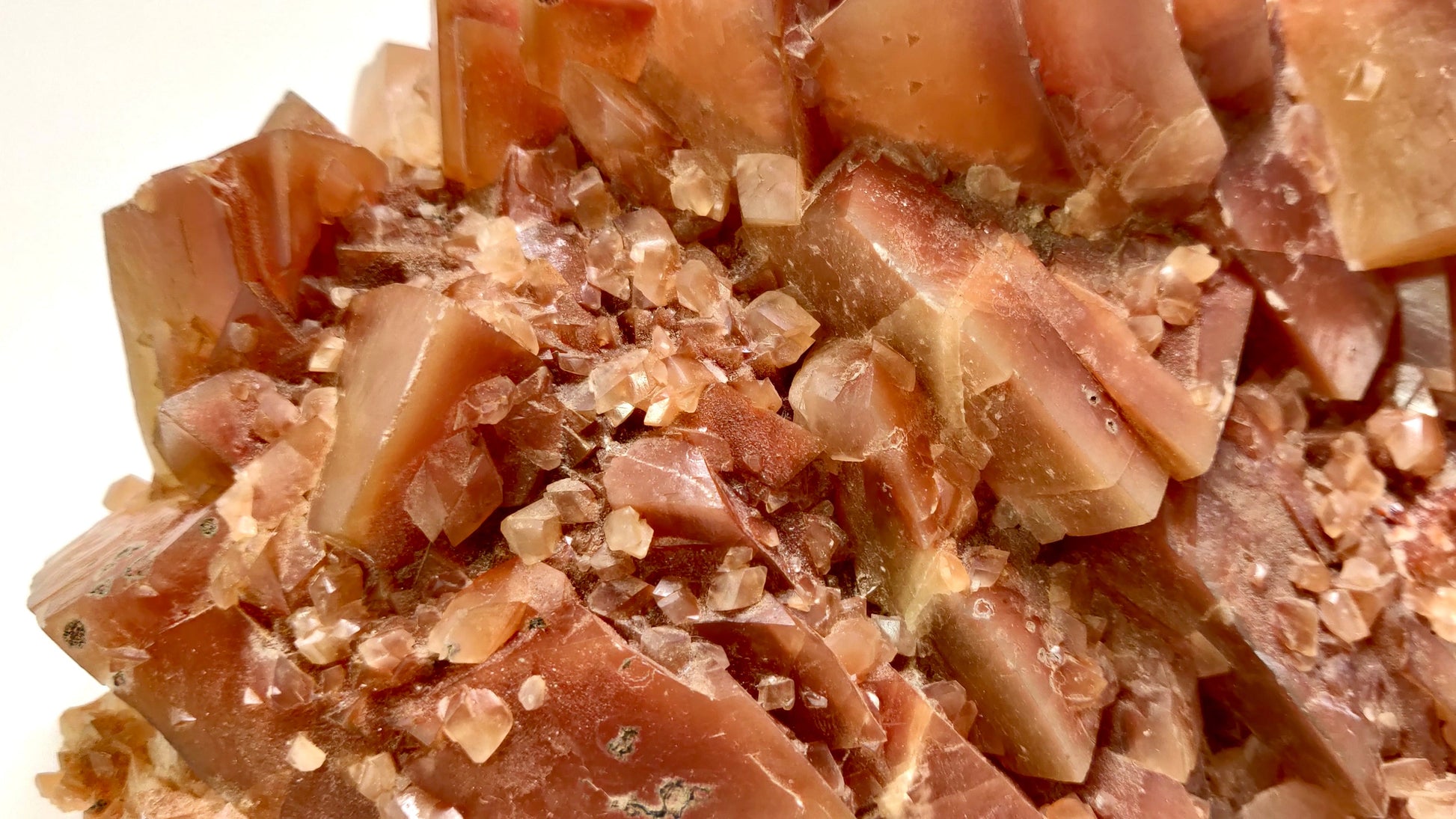 Close-up of a cluster of brownish-red crystals on a white background
