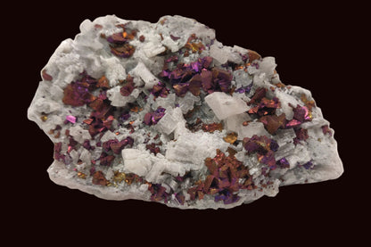 Iridescent rainbow chalcopyrite crystals on white rhombohedral calcite matrix from Baisha Mine, China.