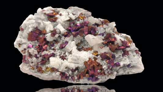 Iridescent rainbow chalcopyrite crystals on white rhombohedral calcite matrix from Baisha Mine, China.