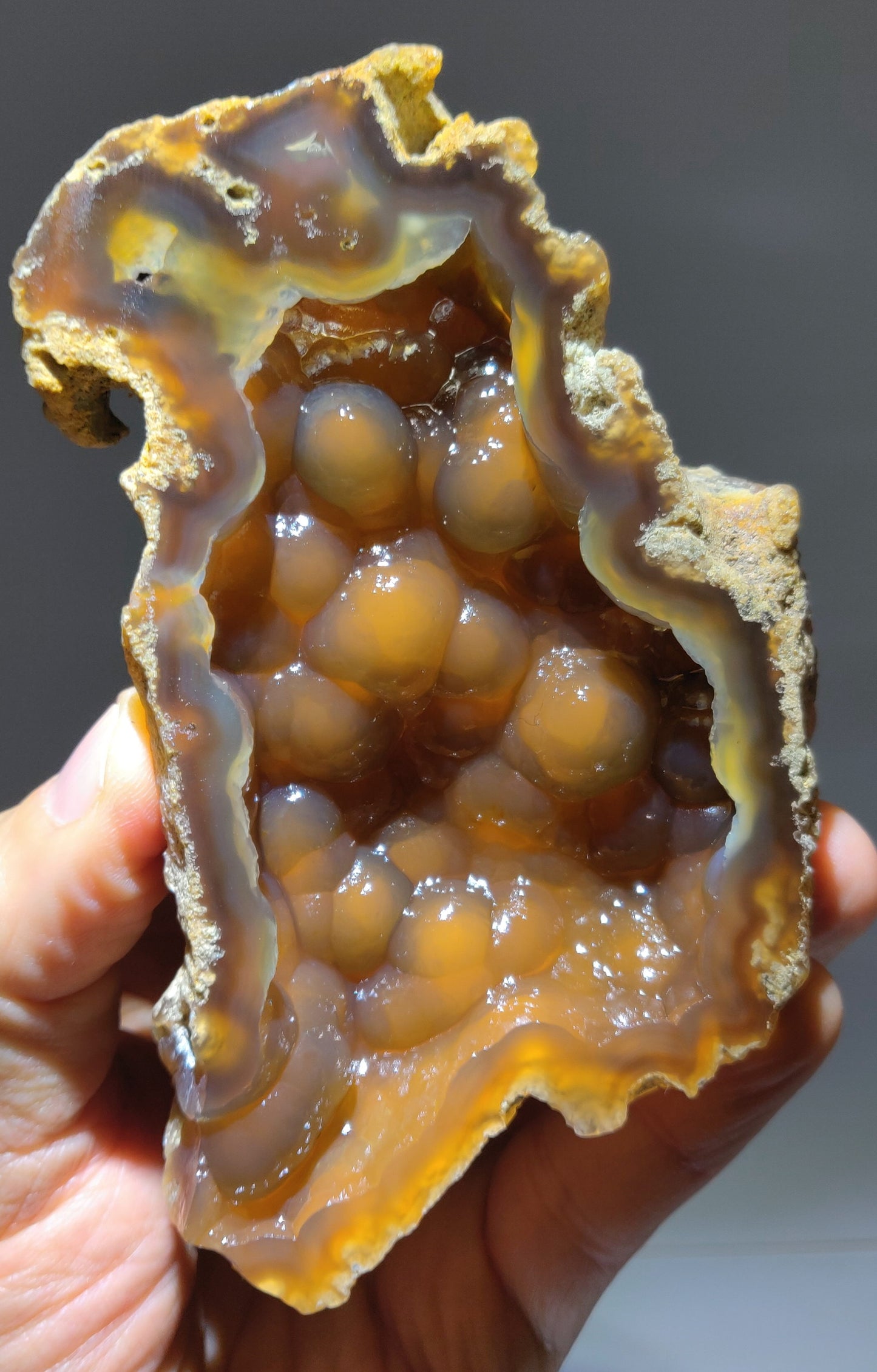 Polished Agatized Fossil Coral geode from Withlacoochee River, Florida. 5.4 inch specimen showing translucent honey-colored amber chalcedony and a bubbly botryoidal crystal cavity.
