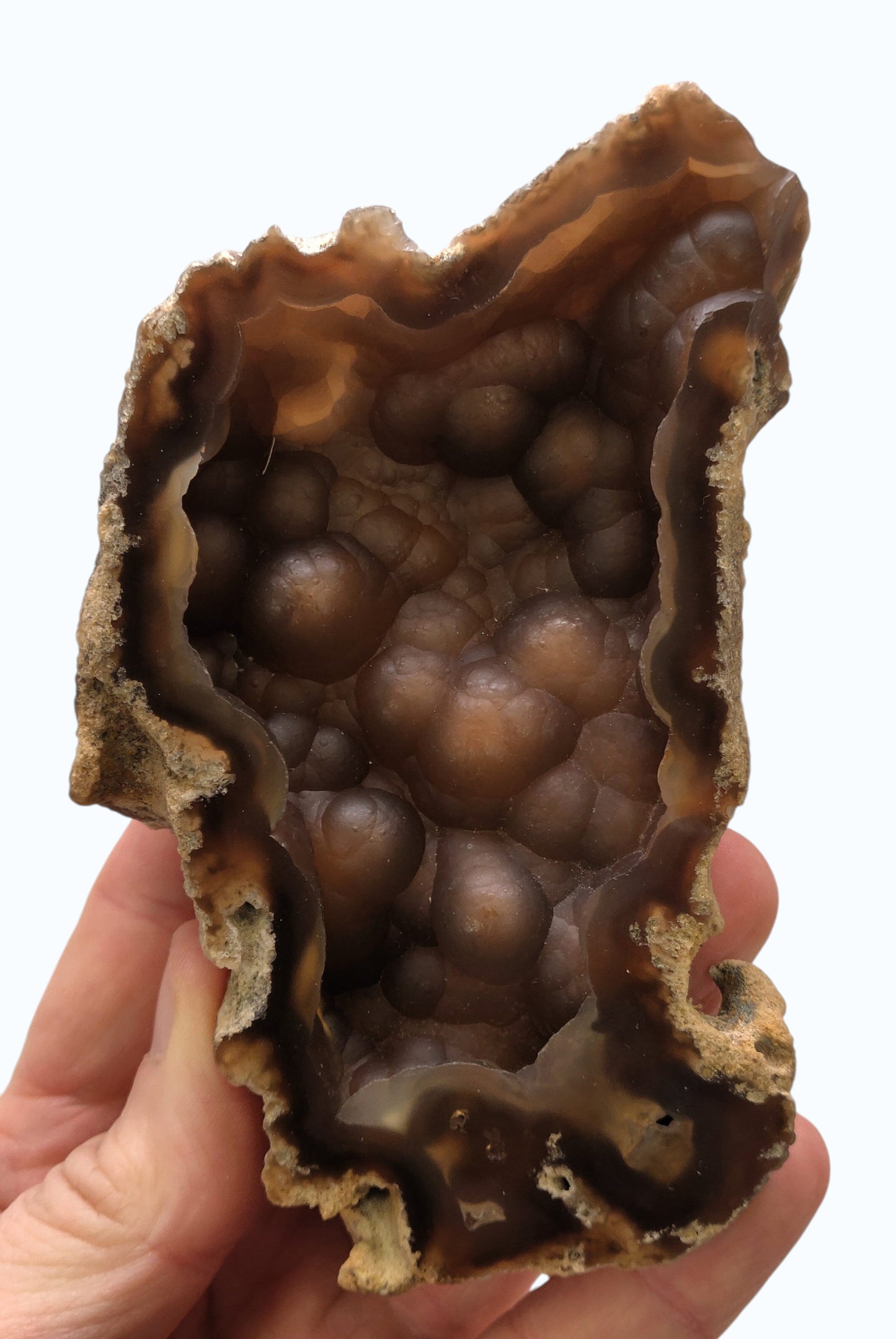 Polished Agatized Fossil Coral geode from Withlacoochee River, Florida. 5.4 inch specimen showing translucent honey-colored amber chalcedony and a bubbly botryoidal crystal cavity.