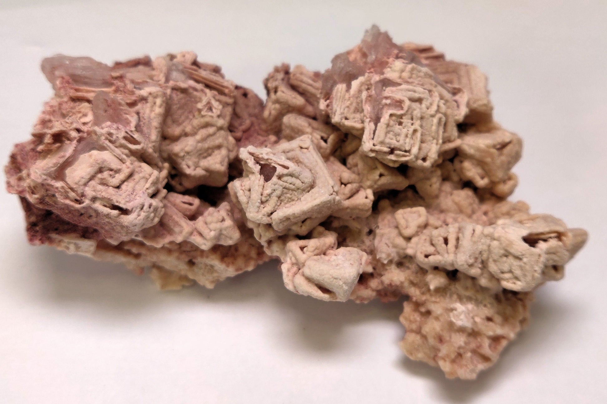 Top-down view of a pink halite specimen from Searles Lake showing deep geometric hopper crystal steps"