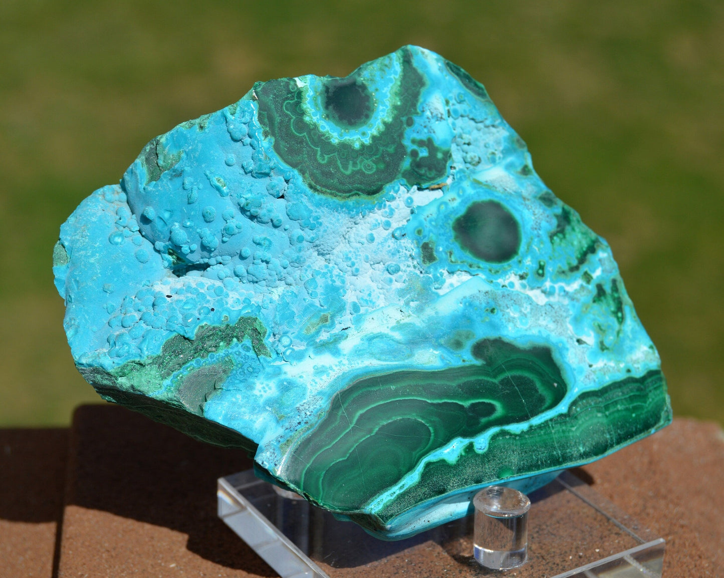 Polished Malachite Chrysocolla Slab with Druzy luster