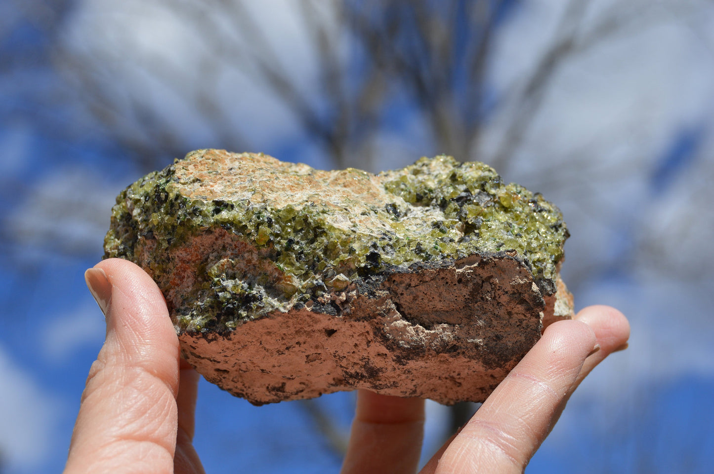 Natural Raw Peridot in Basalt w/ Tourmaline