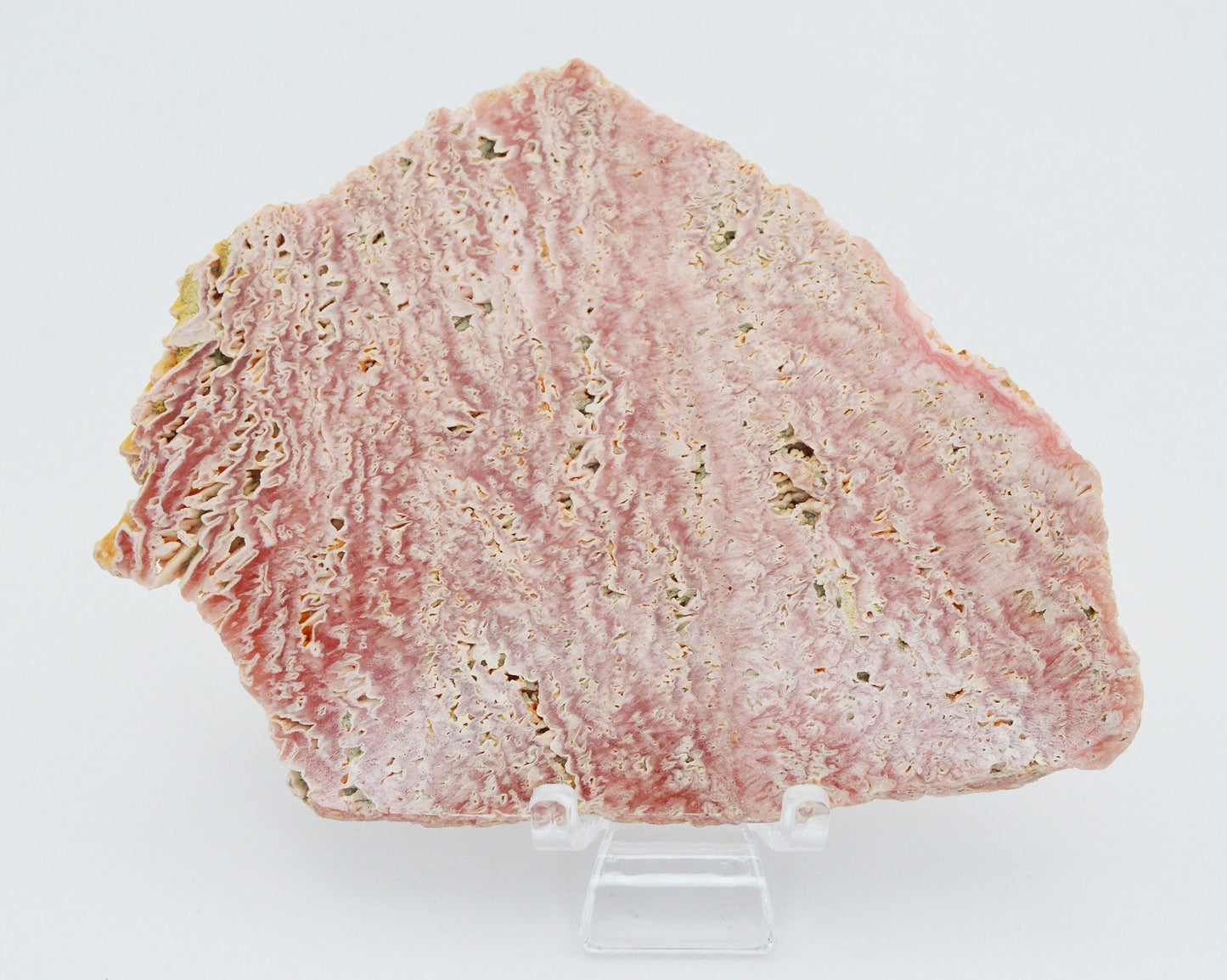 Rhodochrosite Slab from Argentina - Statement piece or for lapidary