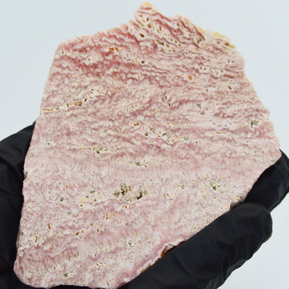 Rhodochrosite Slab from Argentina - Statement piece or for lapidary