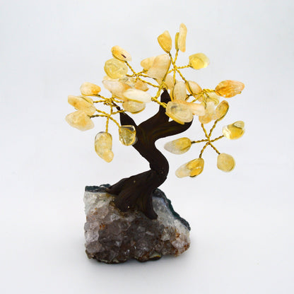 Citrine Crystal Tree on Amethyst base