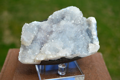 Sparkle Druzy Apophyllite from India