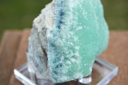 Druzy Aragonite with Azurite - Rare find