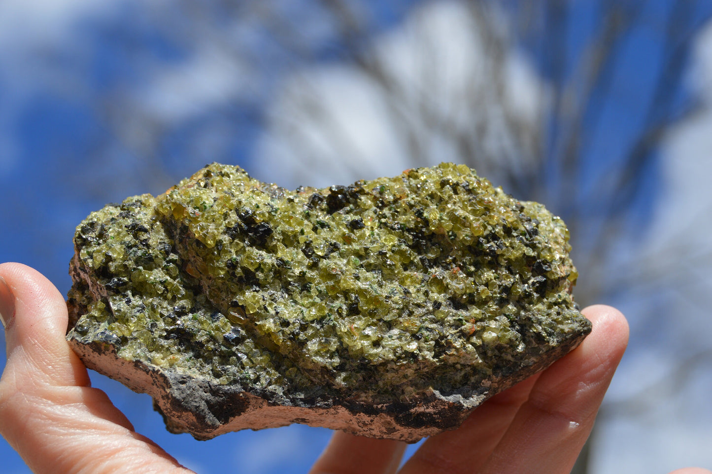 Natural Raw Peridot in Basalt w/ Tourmaline