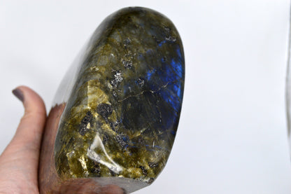 HUGE Labradorite Freeform - 1.6KG