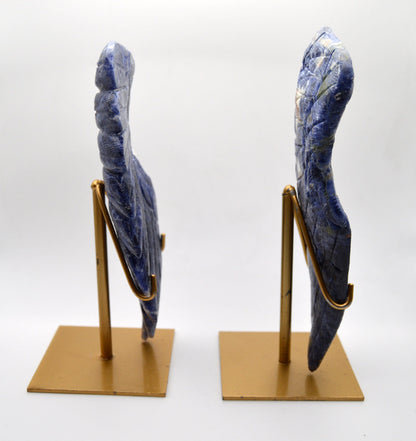 Pair of Sodalite Angel Wings on Gold Stands