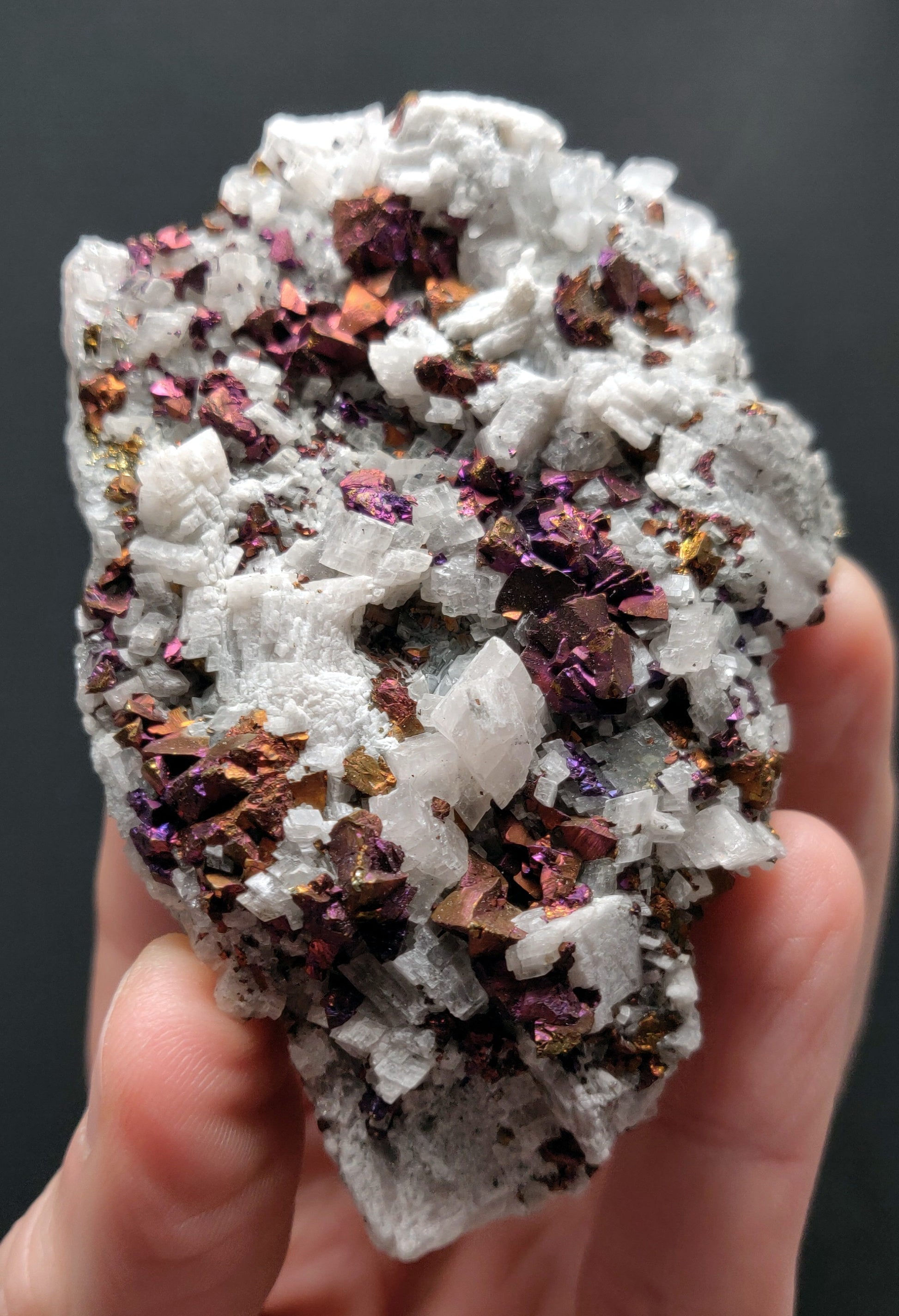 Iridescent rainbow chalcopyrite crystals on white rhombohedral calcite matrix from Baisha Mine, China.